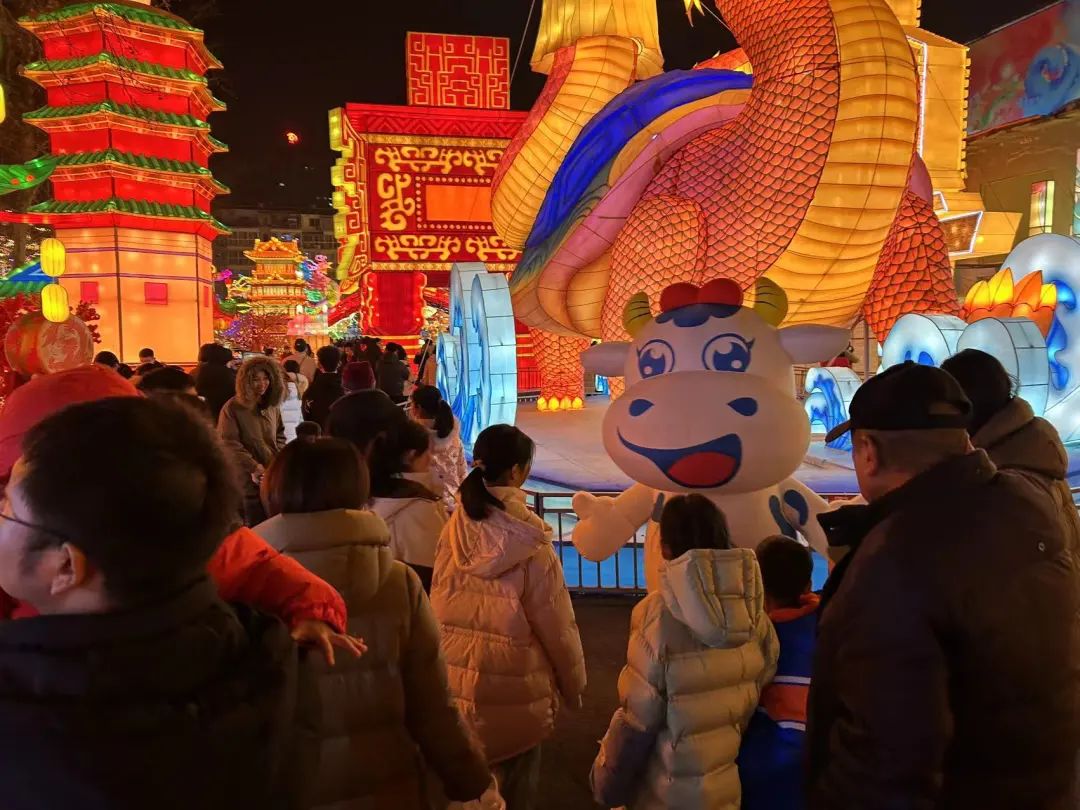 央視直播鄭州龍年燈會迎新春，花花牛品牌上大分