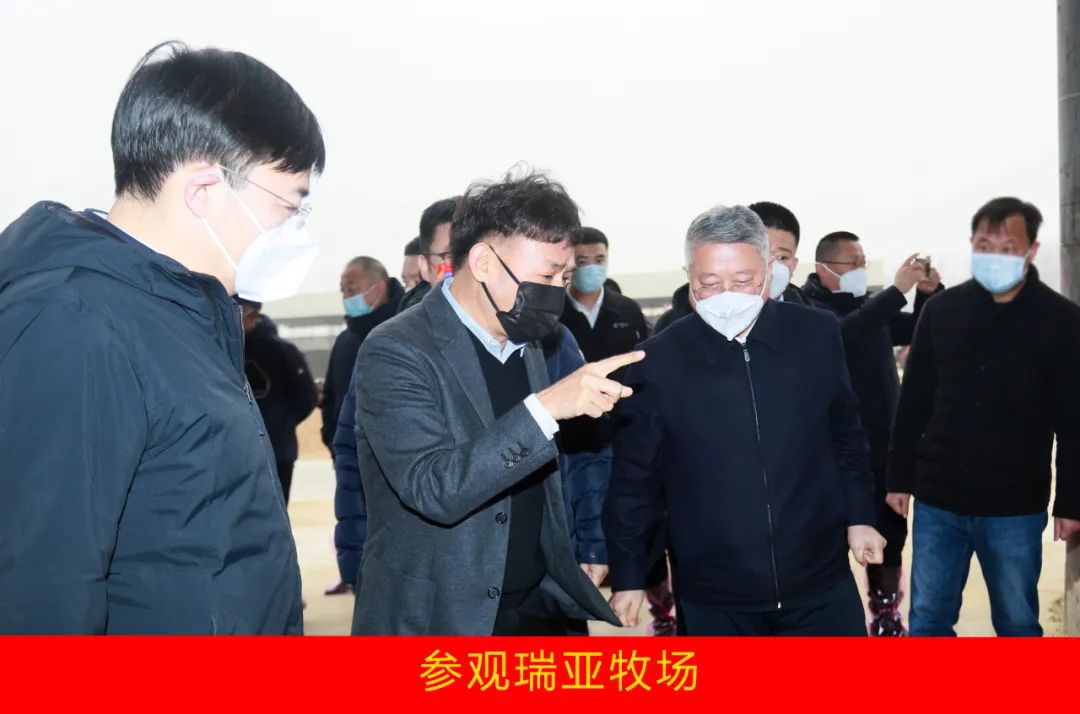 新年開(kāi)新局 合作促發(fā)展丨佳木斯市委常委、副市長(zhǎng)閆志剛一行蒞臨花花牛乳業(yè)集團(tuán)及佳田企業(yè)考察座談