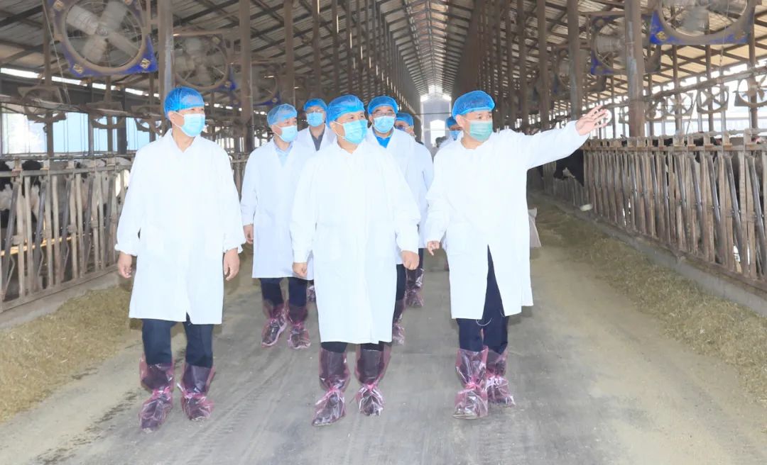 快訊丨河南省人民政府副省長武國定蒞臨花花牛乳業(yè)集團瑞亞牧業(yè)調(diào)研奶源基地建設情況