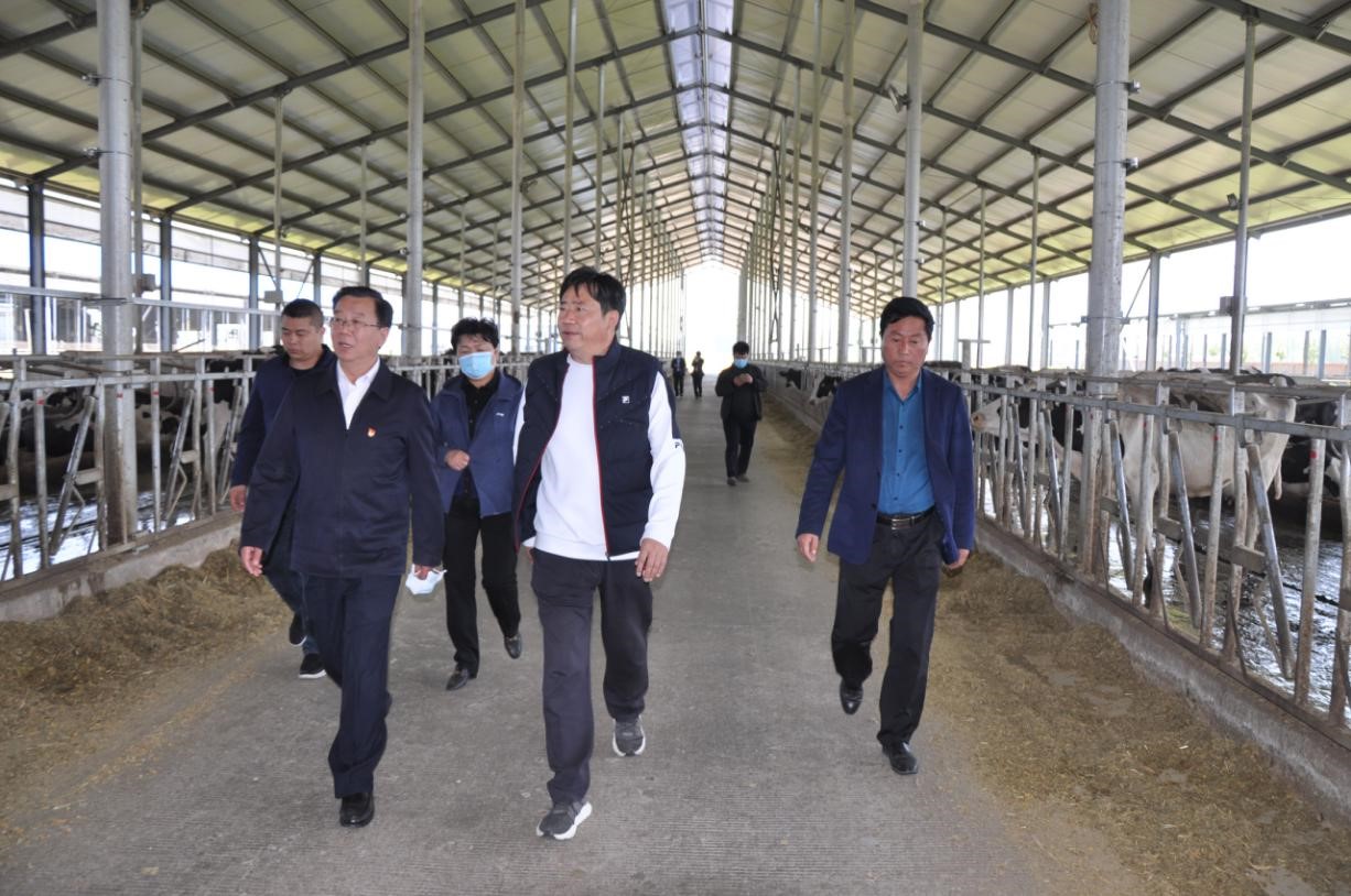 商丘市委常委、宣傳部部長(zhǎng)王全周一行蒞臨睢縣瑞亞牧業(yè)有限公司調(diào)研
