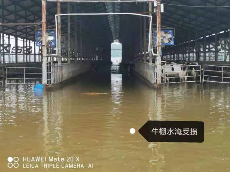 【乳報(bào)·聚焦】“豫”難而上的中原牛人“太中了”！