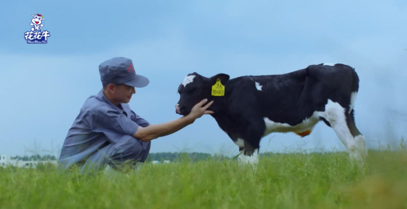中國動物衛(wèi)生流調(diào)中心首席科學(xué)家范偉興一行蒞臨花花牛郟縣發(fā)展、魯山瑞亞參觀調(diào)研