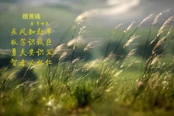 花花牛 | 疾風(fēng)來臨，你是不是勁草？