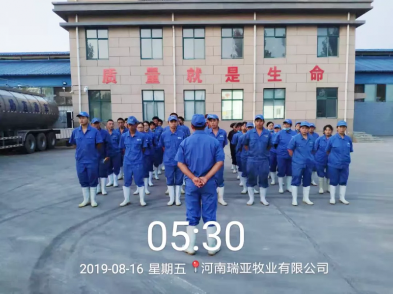 小晨會·大能量——砥礪奮進的花花牛，加油！
